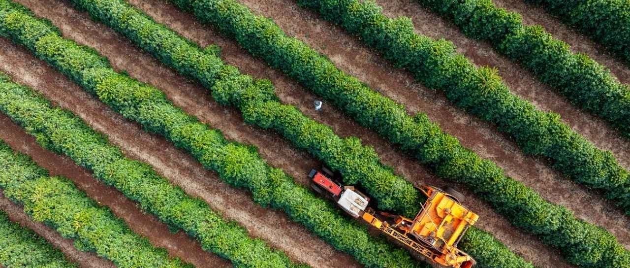 TAG Investimentos lança Fiagro com cartão de crédito - Imagem do artigo