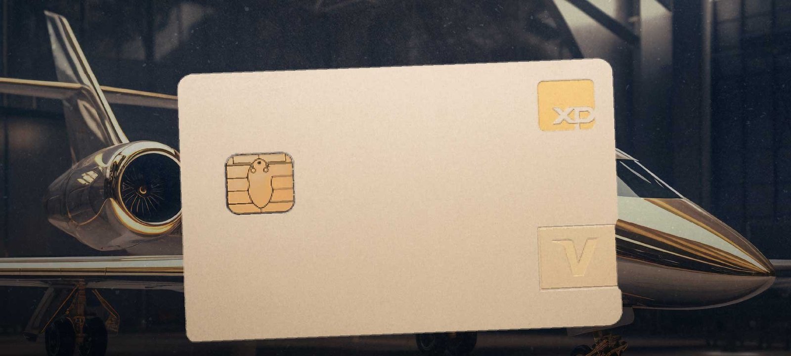 XP Visa Infinite Privilege: site oficial reforça exclusividade - Imagem do artigo
