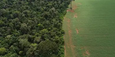 Financiamento climático no Brasil é desigual, diz Oxfam - Imagem do artigo original