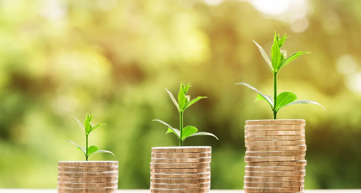 Elo estreia no mercado de créditos de carbono com blockchain - Imagem do artigo