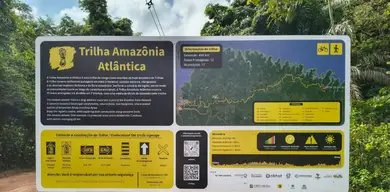 Programa Restaura Amazônia destina R$150 mi a 17 projetos - Imagem do artigo original
