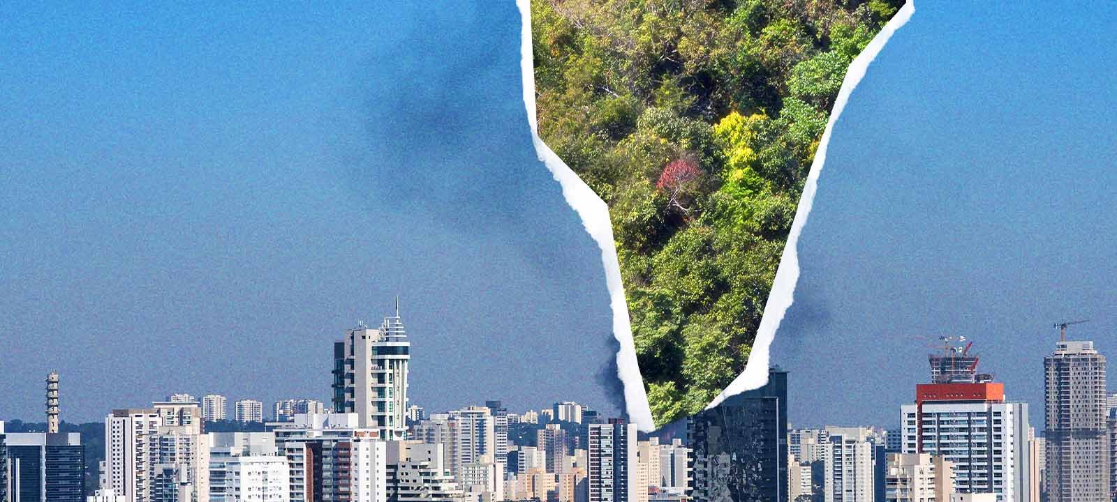 Brasil pode zerar emissões até 2040, dizem cientistas - Imagem do artigo