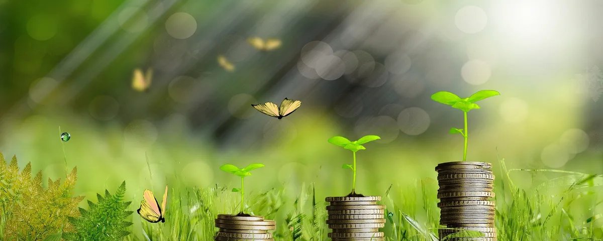 Bioeconomia: Brasil lança iniciativa global na COP30 - Imagem do artigo