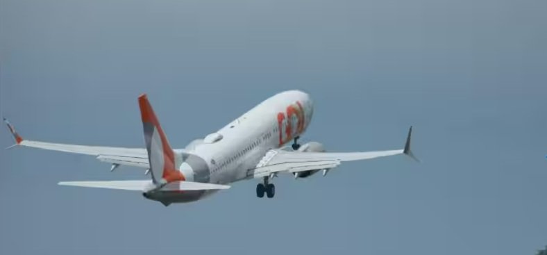 Voos diretos Rio de Janeiro–Mendoza da GOL no verão - Imagem do artigo