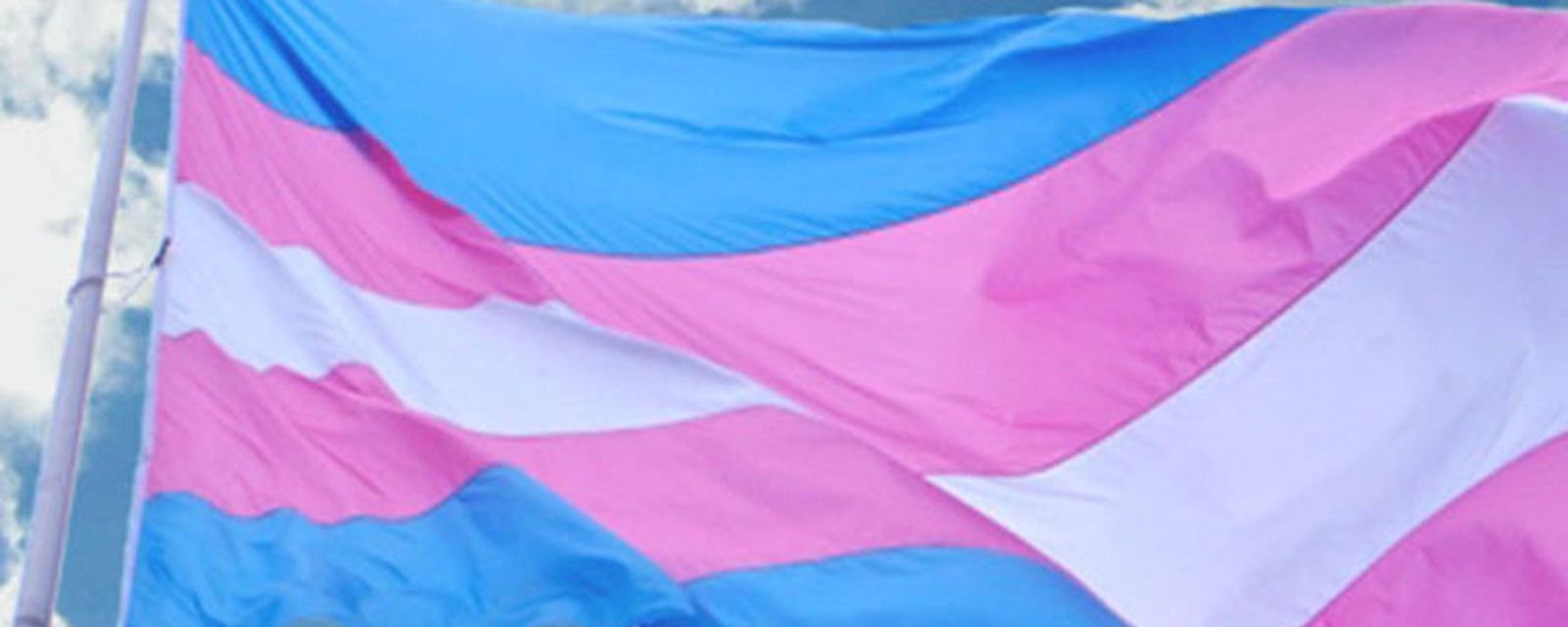 Câncer em pessoas trans: preconceito compromete rastreio - Imagem do artigo