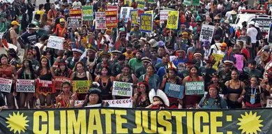 Coalizão Corais do Brasil lidera proteção a recifes na COP30 - Imagem do artigo original