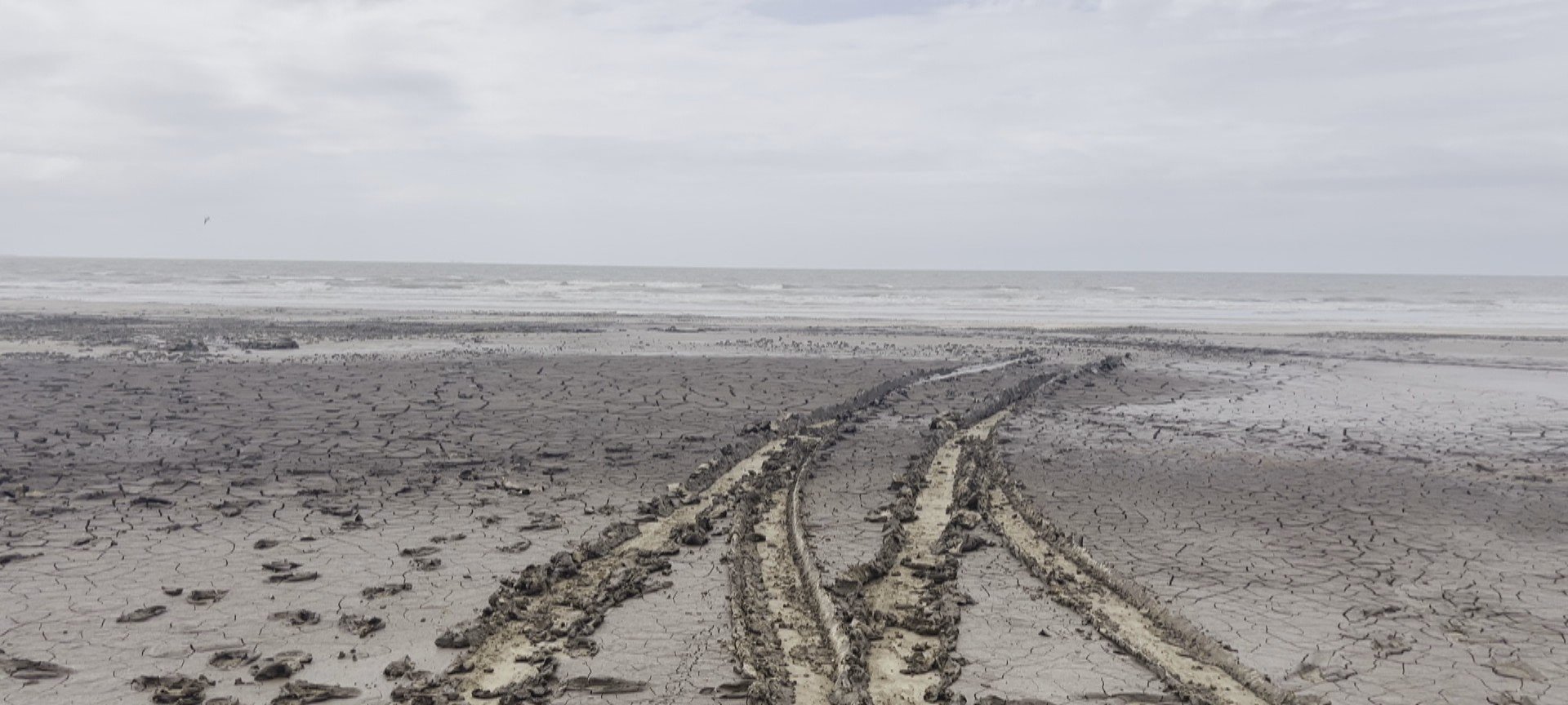 Lama na Praia do Cassino interdita 2 km da faixa de areia - Imagem do artigo