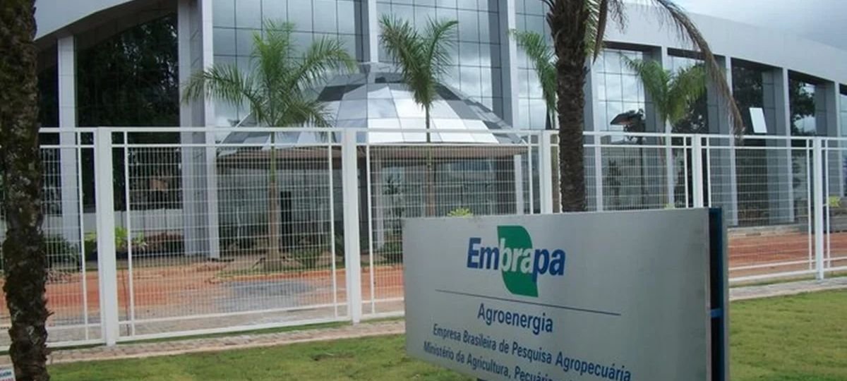 Cursos gratuitos da Embrapa: inscrições abertas online - Imagem do artigo