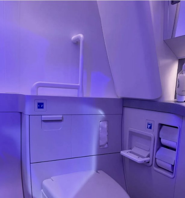 Acessibilidade a bordo: Airbus e Boeing mostram avanços reais - Imagem do artigo original