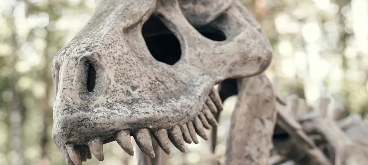Tubarões pré-históricos são achados na Mammoth Cave - Imagem do artigo