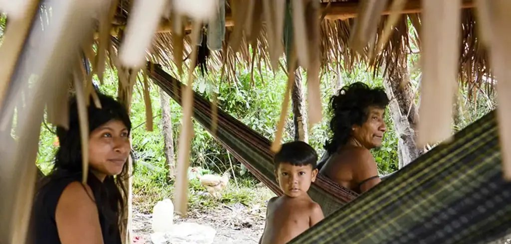 Povos indígenas isolados: Brasil lidera, mas proteção falha - Imagem do artigo