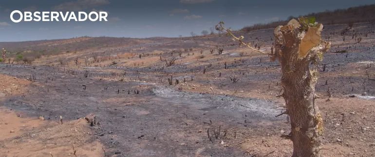 Primeiro deserto do Brasil ameaça avançar na Caatinga - Imagem do artigo