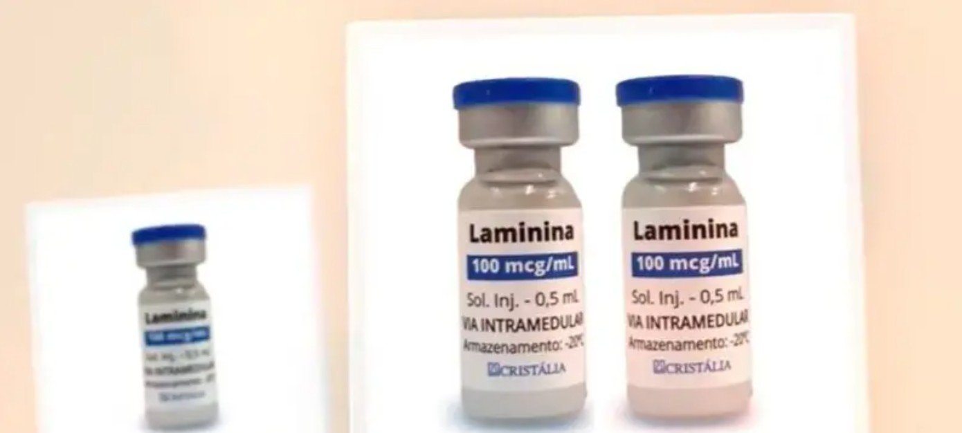 Polilaminina obtém aval inicial para tratar lesão medular - Imagem do artigo